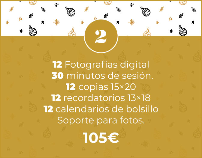 Pack de sesión fotográfica de Navidad, 30 minutos de sesión y 12 fotografías digitales, 12 copias, 12 recordatorios, 12 calendarios